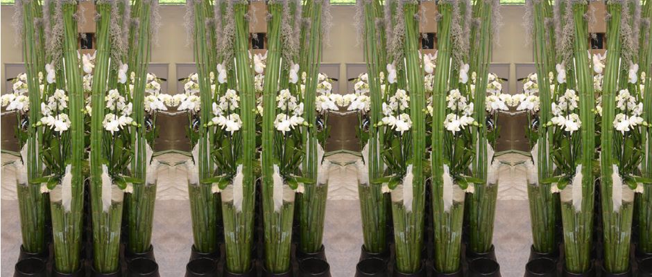 Events Blumenhaus Sander Eventfloristik
