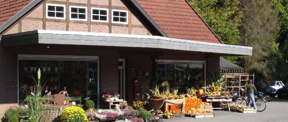 Blumenhaus Wienhausen Blumenhaus Sander Wienhausen