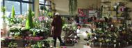 Foto des Blumenshop Sander im E-Center Lachendorf